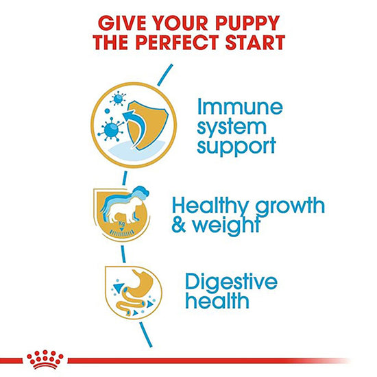 Royal Canin Labrador Retriever Puppy Dry Dog Food