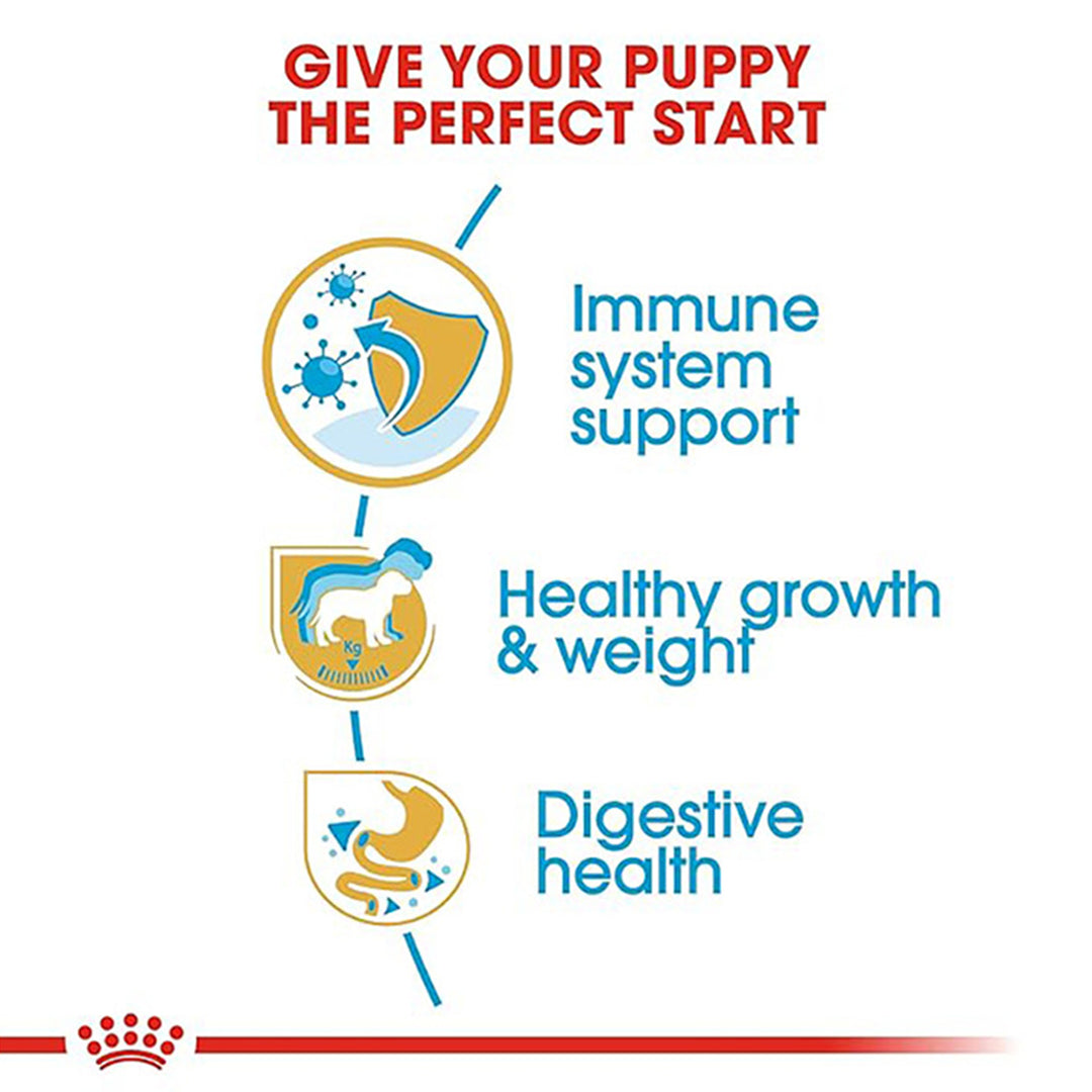 Royal Canin Labrador Retriever Puppy Dry Dog Food