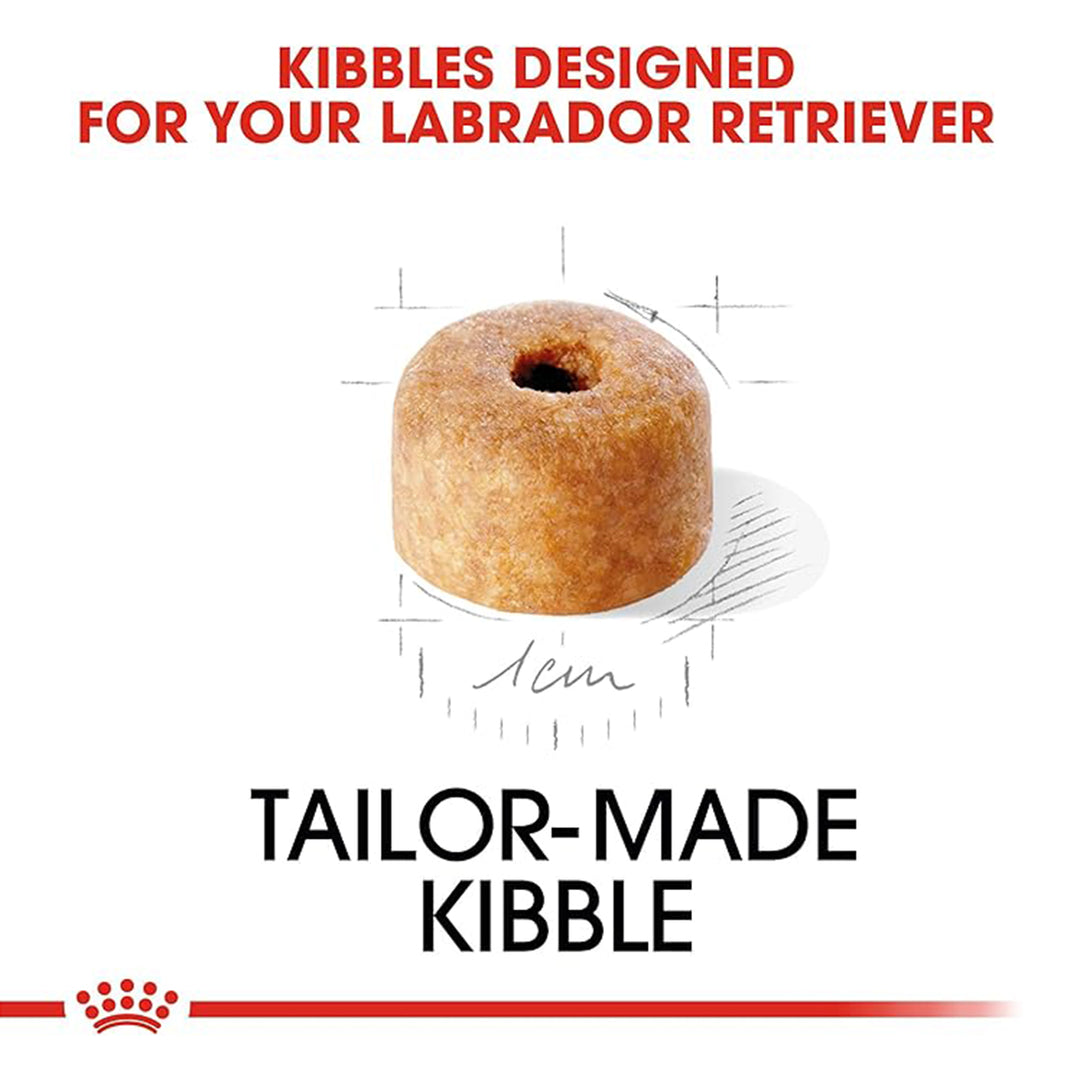 Royal Canin Labrador Retriever Puppy Dry Dog Food