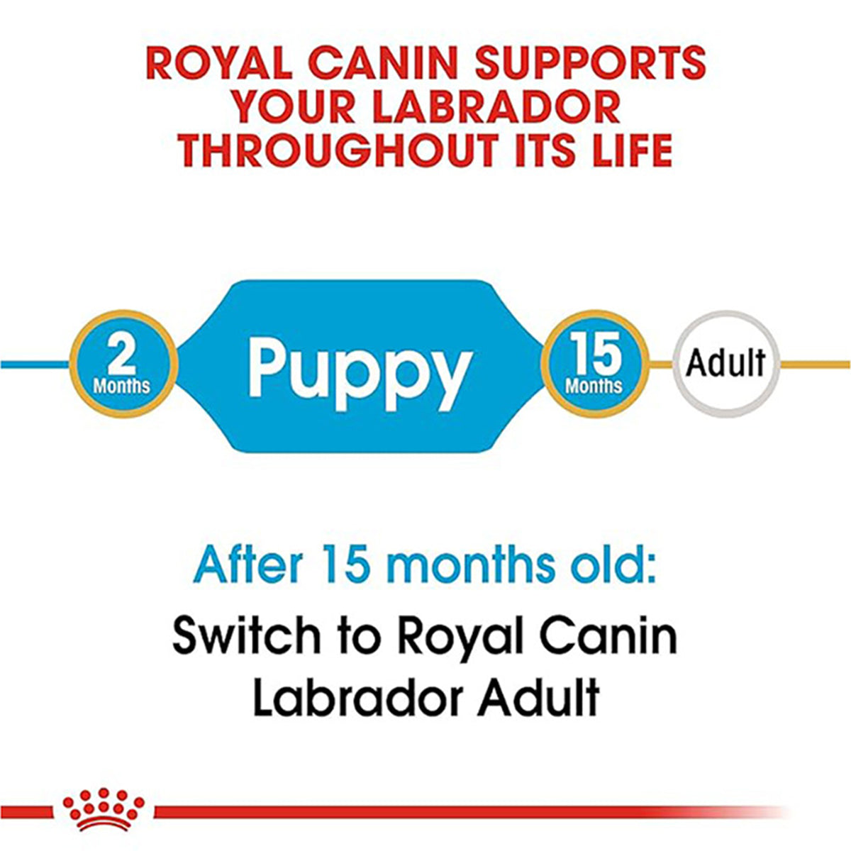 Royal Canin Labrador Retriever Puppy Dry Dog Food