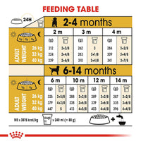 Royal Canin Labrador Retriever Puppy Dry Dog Food