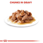 Royal Canin Light Weight Care Wet Cat Food