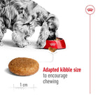 Royal Canin Medium Adult Dry Dog Food