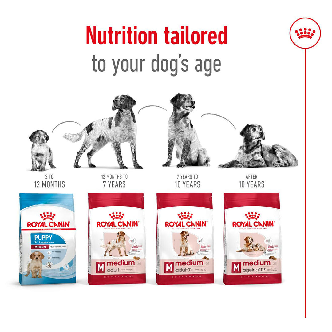 Royal Canin Medium Adult Dry Dog Food