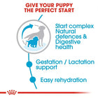 Royal Canin Medium Starter Mother & Babydog Dry Dog Food