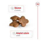 Royal Canin Mini Adult 8+ Dry Dog Food