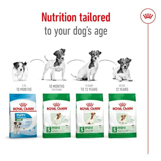 Royal Canin Mini Adult 8+ Dry Dog Food