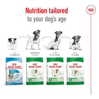 Royal Canin Mini Adult 8+ Dry Dog Food