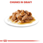 Royal Canin Mini Adult Wet Dog Food