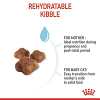 Royal Canin Mother & Babycat Dry Cat Food - All Breed