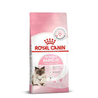 Royal Canin Mother & Babycat Dry Cat Food - All Breed