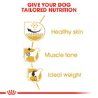 Royal Canin Pug Adult Dry Dog Food