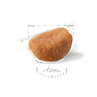 Royal Canin Rottweiler Puppy Dry Dog Food