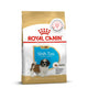 Royal Canin Shih Tzu Puppy Dry Food - 1.5 kg