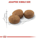 Royal Canin Sterilised 37 Adult Dry Cat Food - All Breed