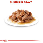 Royal Canin Urinary Care Wet Cat Food - All Breed Adult