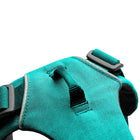 Ruffwear Front Range Padded Dog Harness Aurora Teal - Zigly