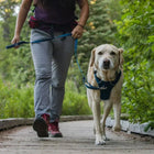 Ruffwear Front Range Padded Dog Harness Blue Moon - Zigly