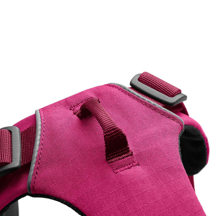 Ruffwear Front Range Padded Dog Harness Hibiscus Pink - XXS