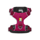 Ruffwear Front Range Padded Dog Harness Hibiscus Pink - XXS