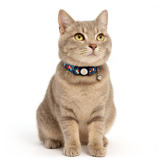 ZL Sandy Shore Cat Collar with Bell
