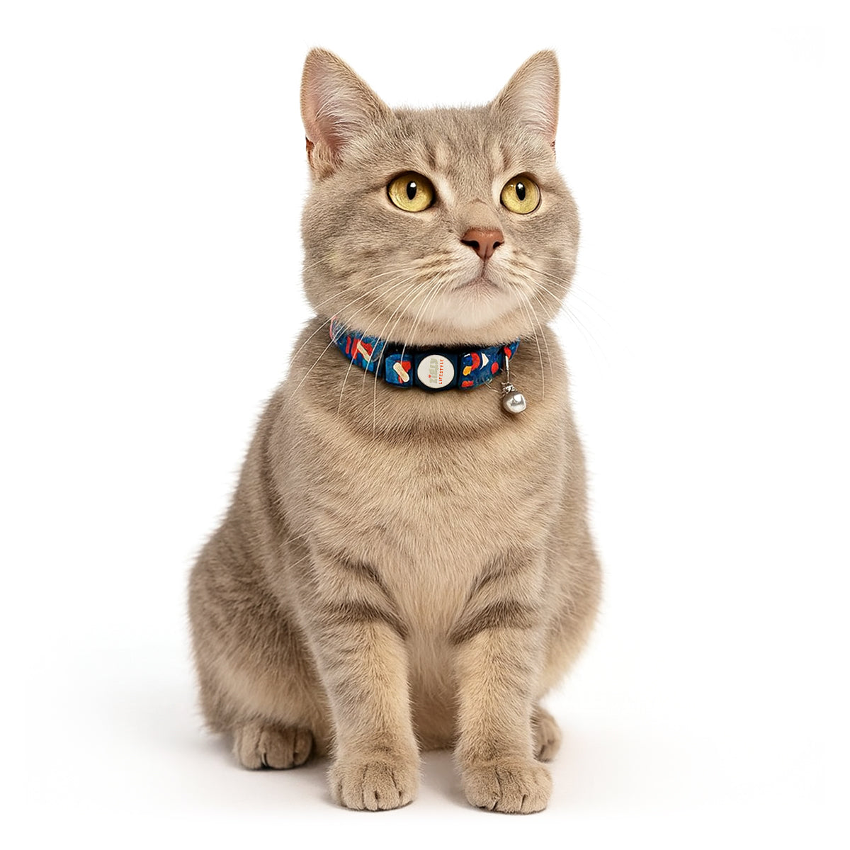 ZL Sandy Shore Cat Collar with Bell