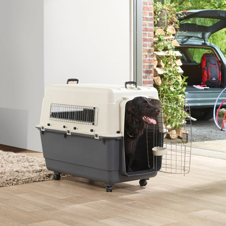 Savic Andes 6 Pet Carrier - Ivory - 36x24x27 inch