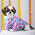 Shih Tzu dog in a Zigly colorful festive shirt, sitting indoors with marigold garlands.