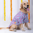Golden retriever dog wearing Zigly colorful shirt, festive marigold decor in background