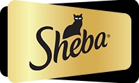 feature-brand-image