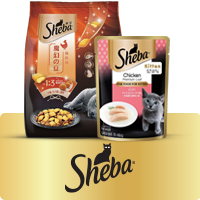 Sheba Red Buy Sheba Cat Food Online at Best Price - Wet, dry Food & Treats | Zigly