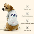 Small dog wearing gray SPORTS New York City shirt, cozy, machine washable pet clothing by zigly