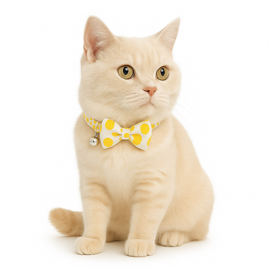 ZL Sunny Dot Bell & Bow Cat Collar