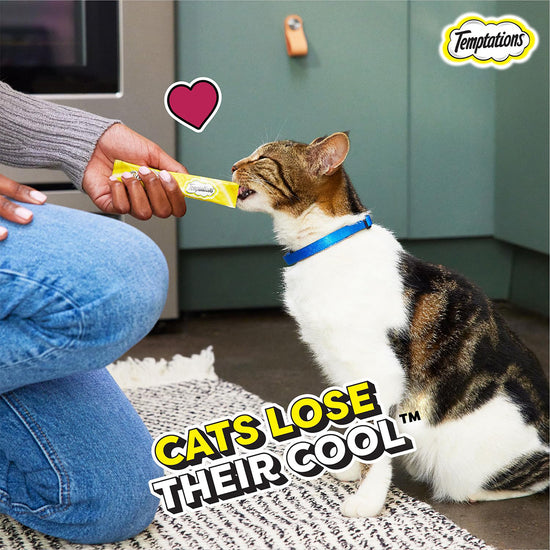 Temptations Creamy Purrrr-ee Chicken and Tuna Flavour Meaty Cat Treat - 48 gm (12 gm x 4 Pcs)