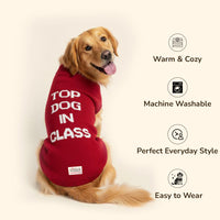 ZL Varsity Top Pup Scholar Dog Sweater - Red