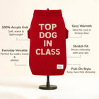 Red knitted dog sweater with 'Top Dog in Class' text, 100% acrylic, cozy, stretch fit, zigly brand