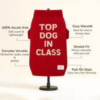 ZL Varsity Top Pup Scholar Dog Sweater - Red