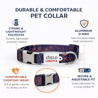 Zigly Lifestyle Tropical Blaze Adjustable Dog Collar