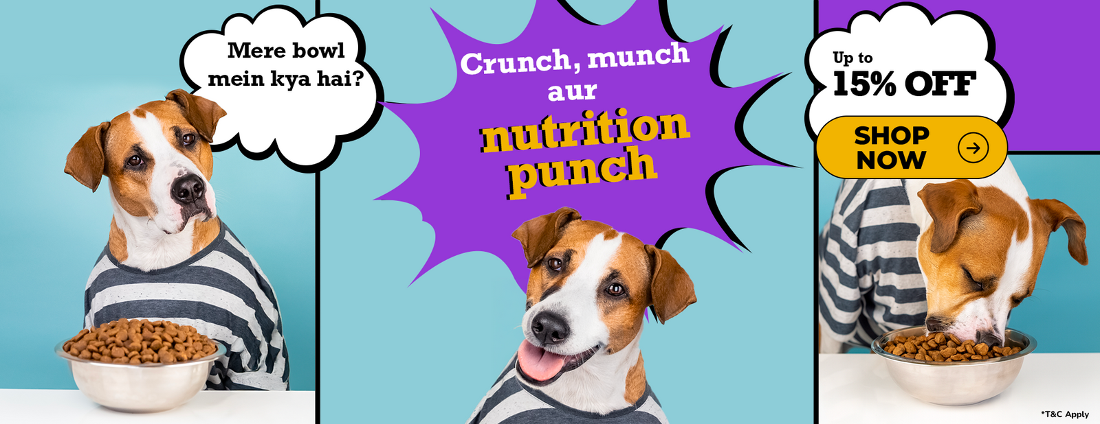 Dog wearing a striped shirt with promotional text and offers on a blue and purple background