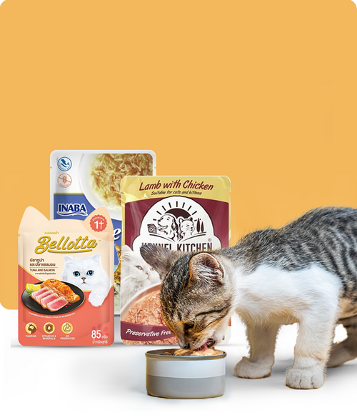 files/Wet-food_650X765_29cfbd46-2bbd-4a1e-adfd-5ff057106d50.png
