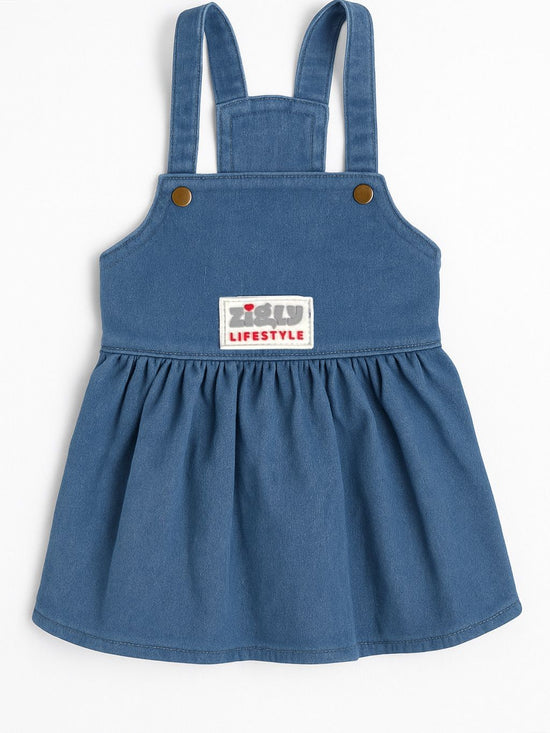 ZL Denim Frock for Dogs