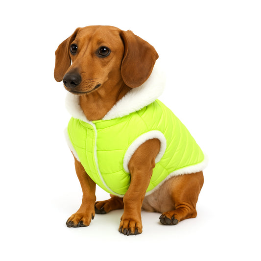 Woofiez Turquoise Fur Lined Dog Jacket - Green