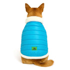 Zigly dog wearing turquoise fur-lined warm jacket with white trim, sitting facing away