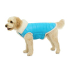 Cream dog wearing a turquoise fur-lined jacket with zigly texture on white background