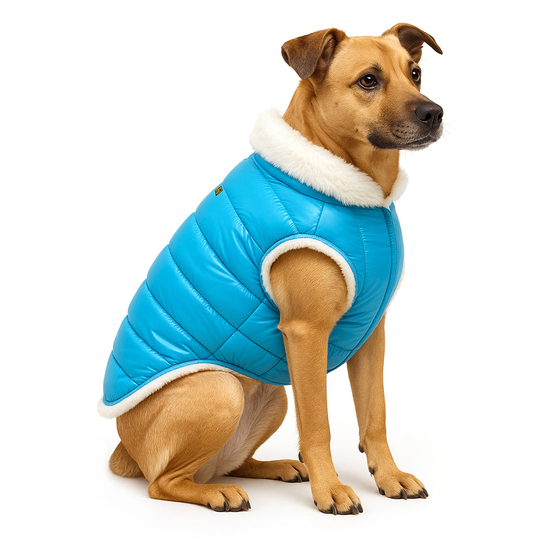 Woofiez Turquoise Fur Lined Dog Jacket - Blue