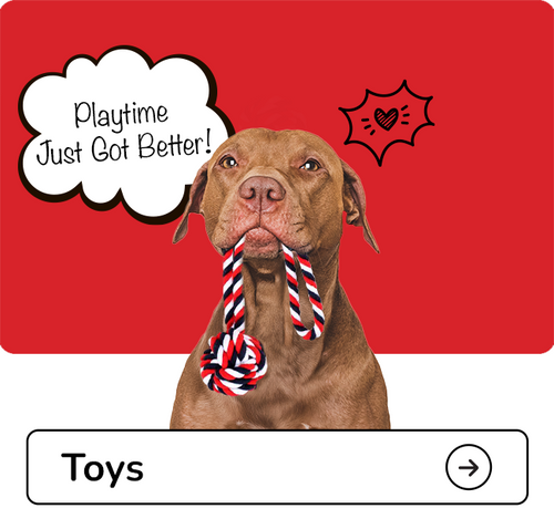 Dog with a toy in its mouth against a red background with text and a heart symbol-Zigly Toys For Dogs