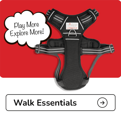 Black dog harness with reflective stripes on a red background, featuring text 'Play More Explore More!' and 'Walk Essentials'- Zigly