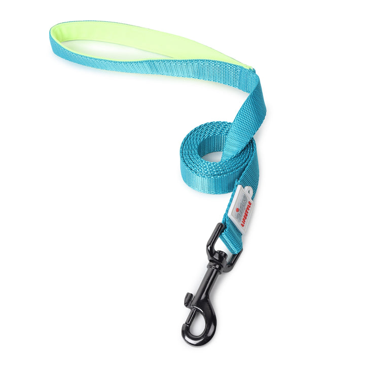 ZL Classic Padded Dog Leash – Neon Green