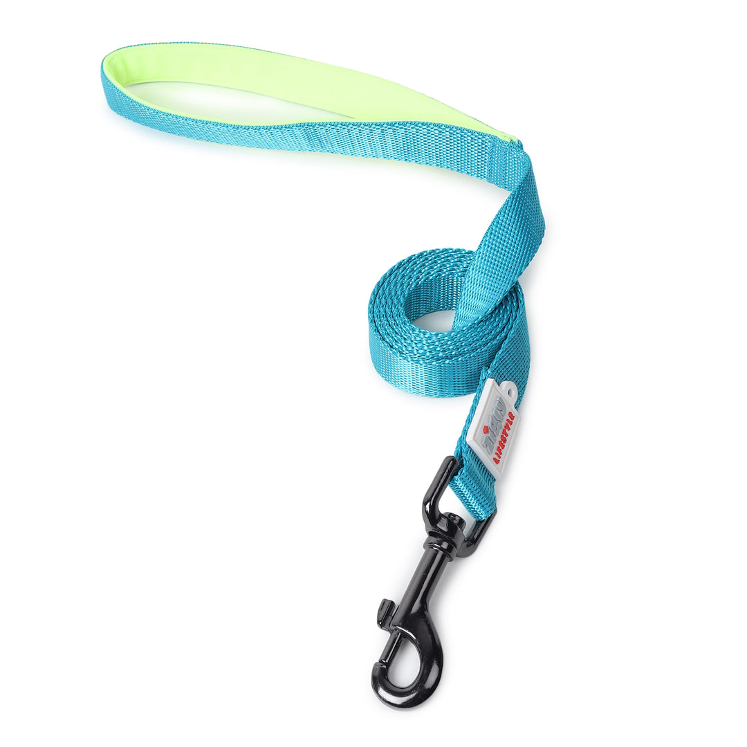 ZL Classic Padded Dog Leash – Neon Green