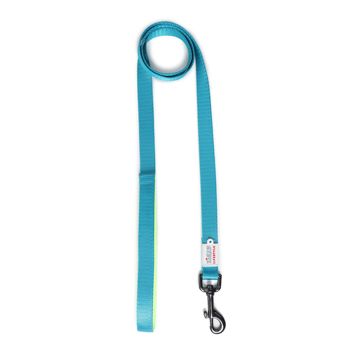ZL Classic Padded Dog Leash – Neon Green